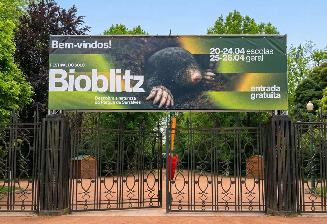 Projeto Cobalto — Gráfica