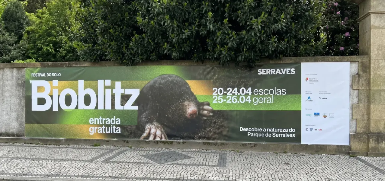 Projeto Cobalto — Gráfica